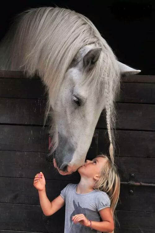 Reach Out to Horses- Children and Horses